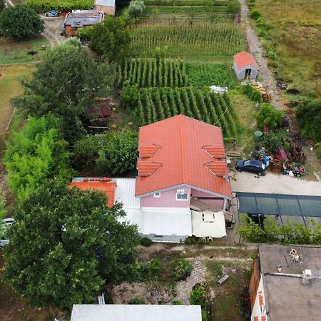 Apartman Balsa Котор Екстериор снимка